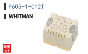 P605-1-C12T ͼƬ